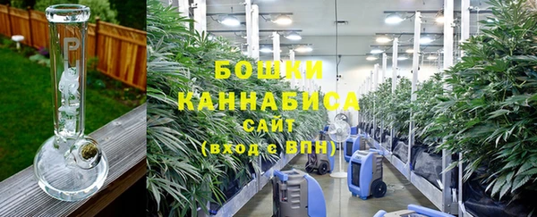 шишки Медвежьегорск