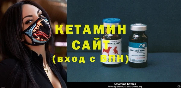 шишки Медвежьегорск
