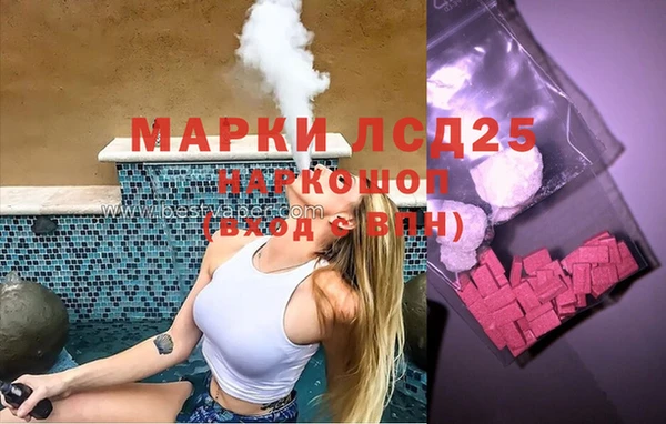 шишки Медвежьегорск