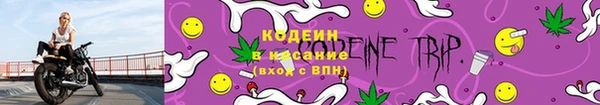 твердый Майский
