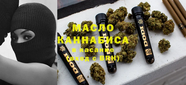 шишки Медвежьегорск