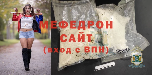 шишки Медвежьегорск
