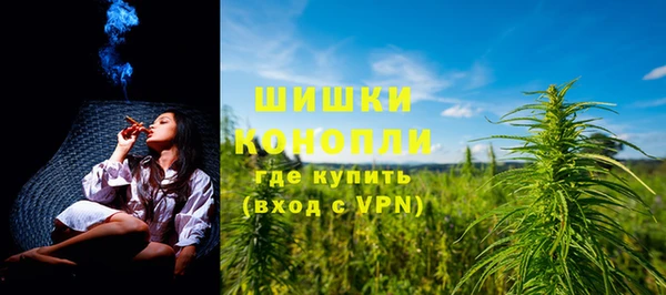 шишки Медвежьегорск
