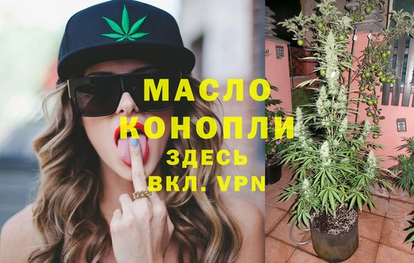 шишки Медвежьегорск