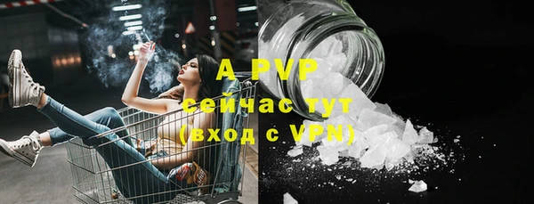 шишки Медвежьегорск